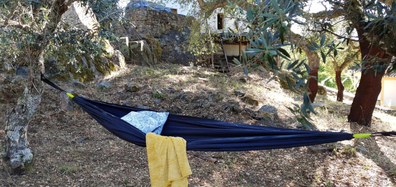 הוילה Galegos  Casa Do Passaro מראה חיצוני תמונה