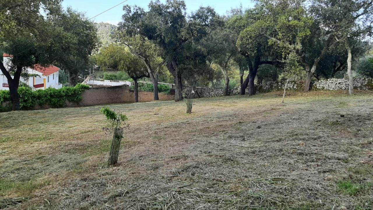 הוילה Galegos  Casa Do Passaro מראה חיצוני תמונה